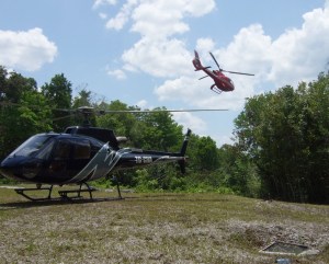 Helicopters landing in small clearing