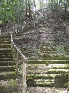 Stairs to La Danta platform