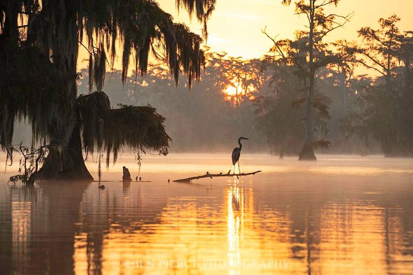 Photo of Lake Martin in South Louisiana